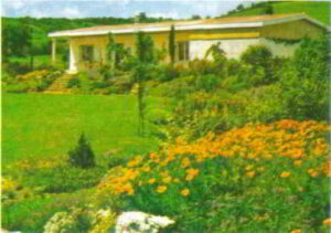 il giardino ornamentale