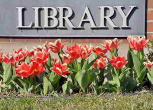 Enciclopedie del sapere Edicola Walpi LIBRARY-