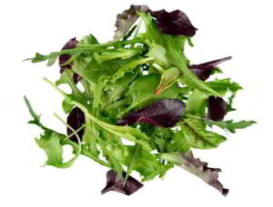 Enciclopedia insalata Dizionarietto e condimenti Le insalate