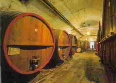 NOBILI CANTINE Le cantine del castello di Tagliolo, dove fin dal Quattrocento si producono Dolcetto e Barbera.