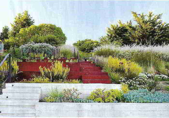 Shades of Green, On The Edge Of The Continent, Sausalito, California. Foto Marion Brenner - . Shades of Green, On The Edge Of The Continent, Sausalito, California. Foto Marion Brenner - .