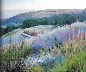 Shades of Green, On The Edge Of The Continent, Sausalito, California. Foto Marion Brenner. Shades of Green, On The Edge Of The Continent, Sausalito, California. Foto Marion Brenner.