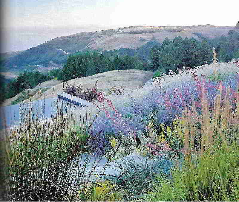 Shades of Green, On The Edge Of The Continent, Sausalito, California. Foto Marion Brenner. Shades of Green, On The Edge Of The Continent, Sausalito, California. Foto Marion Brenner.