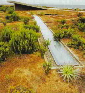 Teresa Moller Landscape Studio, Casa Acantilado, Santiago, Cile. Foto Chloe Humphreys Teresa Moller Landscape Studio, Casa Acantilado, Santiago, Cile. Foto Chloe Humphreys