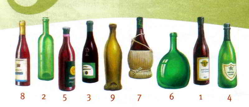 Bottiglie modelli