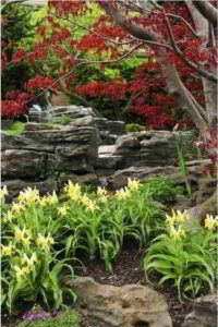 Giardino zen e bonsai giardini zen 7