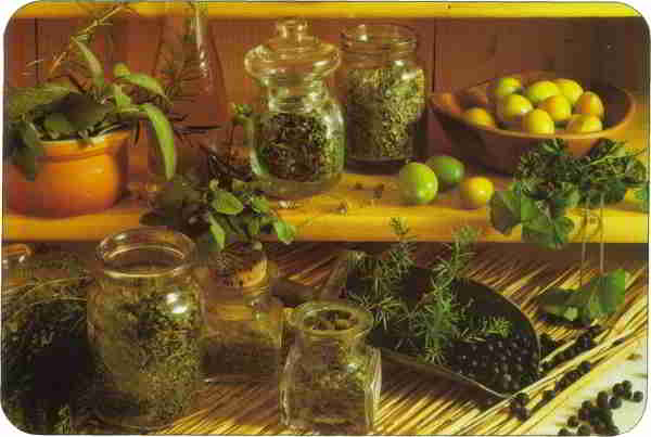 Le erbe aromatiche