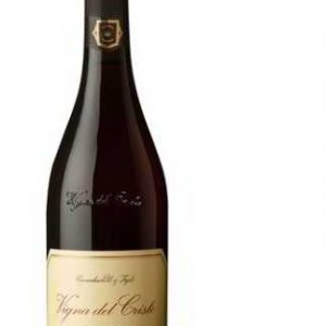 Sorbara DOC Secco VIGNA DEL CRISTO CAVICCHIOLI #Adv