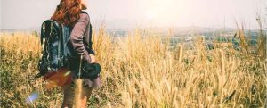 Gastronomia del Rinascimento Radici, erbe e frutti Travel blogger