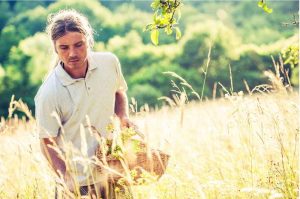 Radici Erbe e frutti in Italia breve racconto - erbaggi